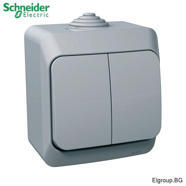 Сериен КЛЮЧ сх.5 Cedar Plus WDE000650 Schneider Electric, 16A/250V, IP44, СИВ